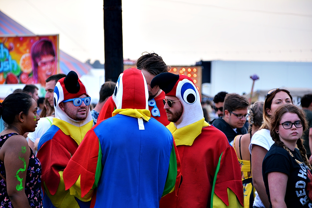 ReadingFest_KasOsow15