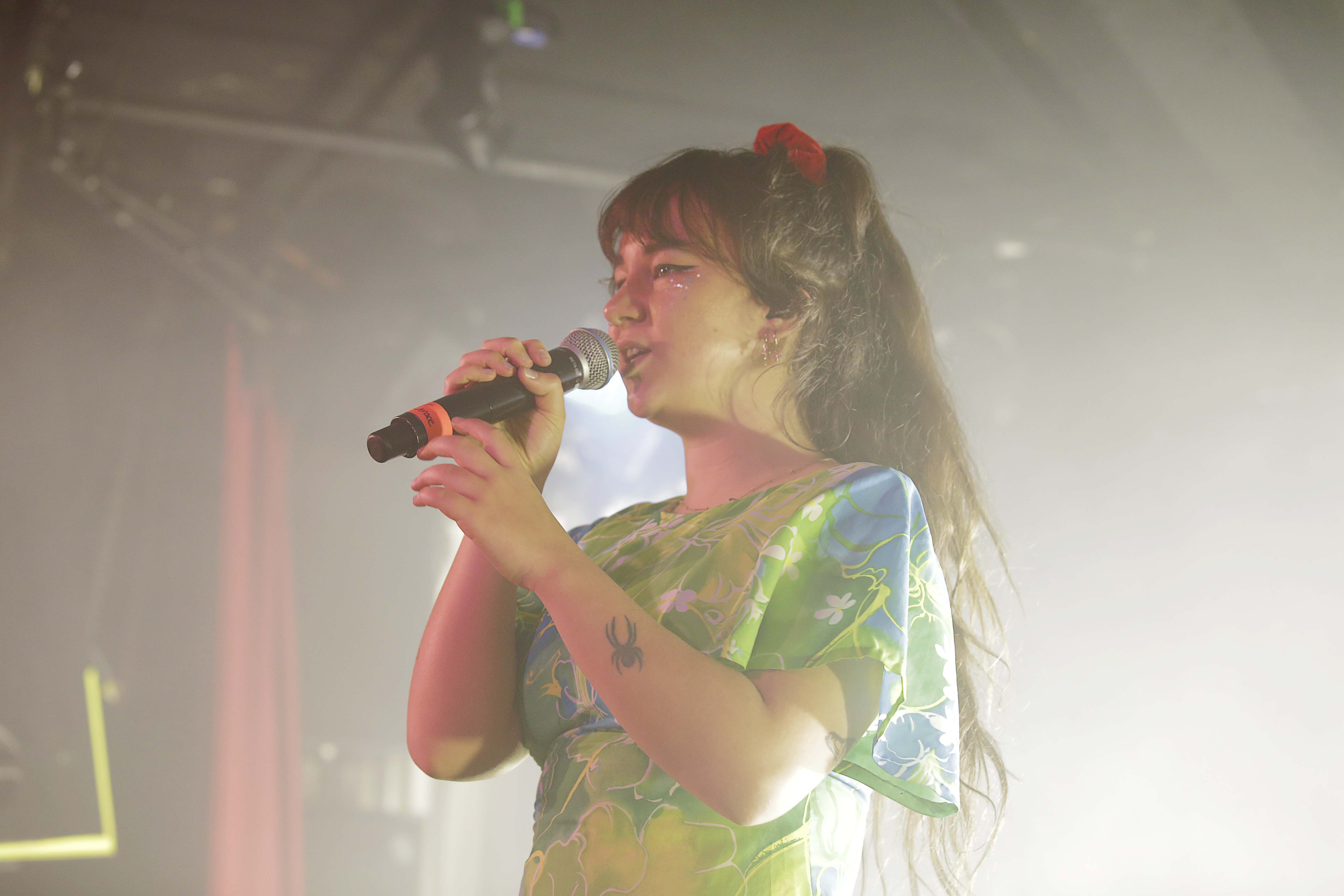 Mallrat - Melbourne - GIG GOER - 1