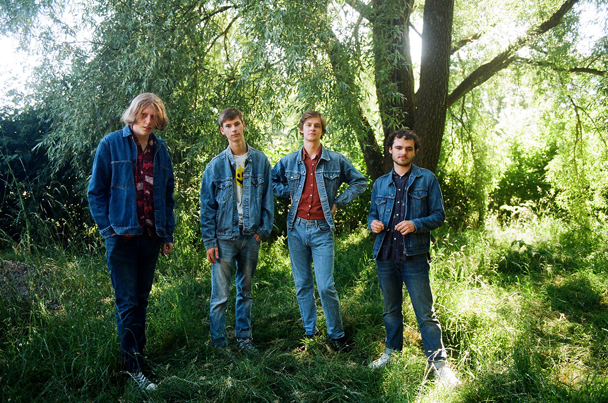 BUZZARD BUZZARD BUZZARD 2019