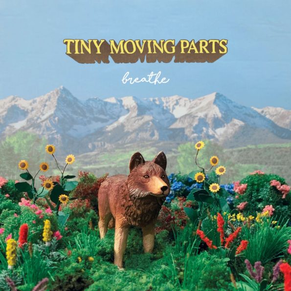 Tiny Moving Parts album 2019