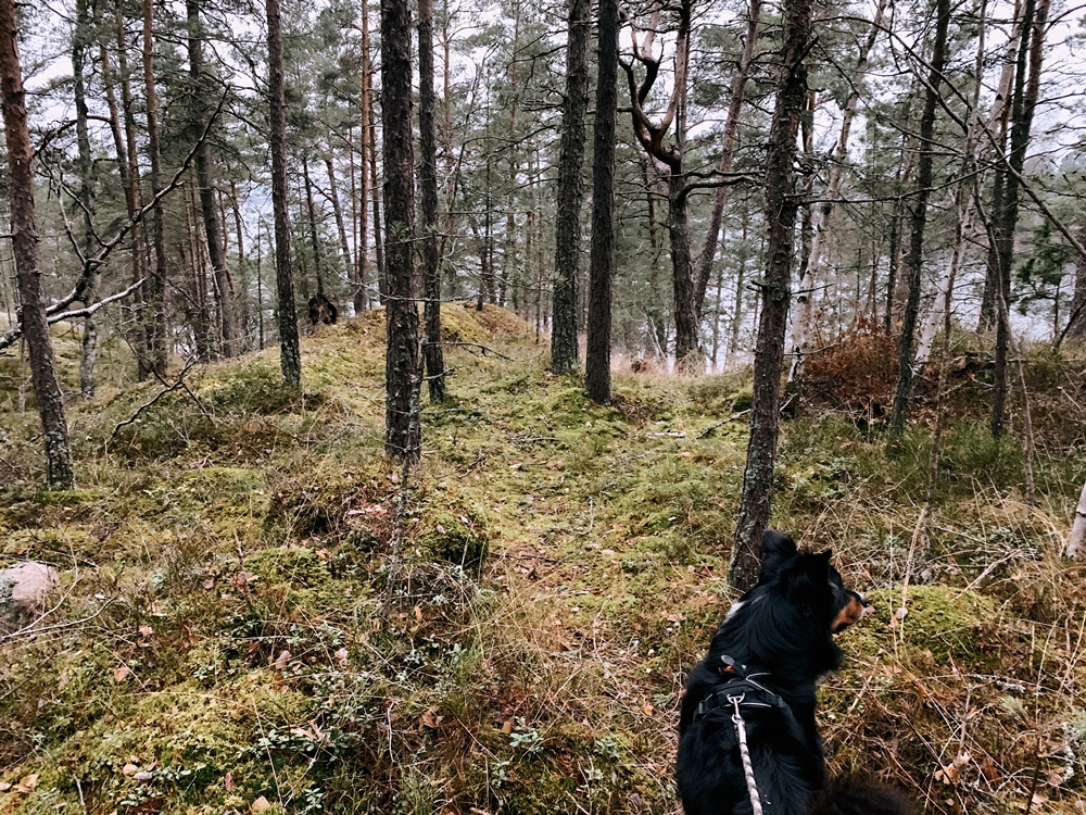 Backstage With...Winona Oak GIG GOER