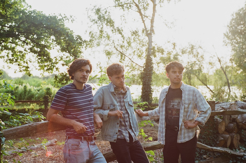 Dutch Criminal Record